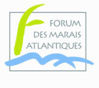 FORMATION- Atelier piézométrie LigérO par le Forum des Marais Atlantiques - Le 15 juin 2023