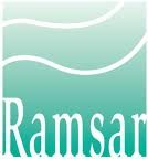 Candidatures ouvertes pour la label Ville des zones humides de la convention de Ramsar