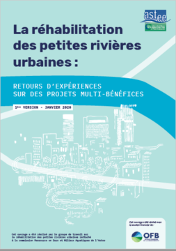 La Réhabilitation des petites rivières urbaines : retours d’expériences sur des projets multi-bénéfices