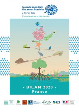 Bilan JMZH 2020