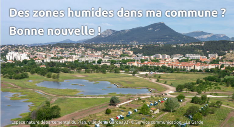 Des collectivités témoignent de leur engagement pour les zones humides ! Replay de la webconférence « Des zones humides sur ma commune? Bonne nouvelle! »