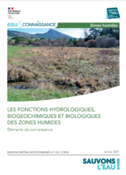 Les fonctions hydrologiques, biogéochimiques et biologiques des zones humides - Éléments de connaissance