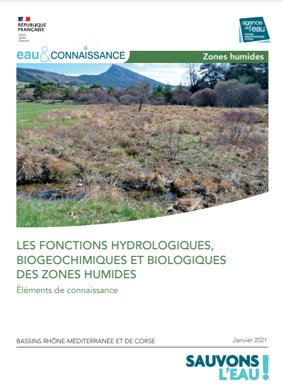 Les fonctions hydrologiques, biogéochimiques et biologiques des zones humides – Éléments de connaissance