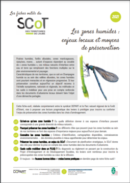 Les zones humides : enjeux locaux et moyens de préservation