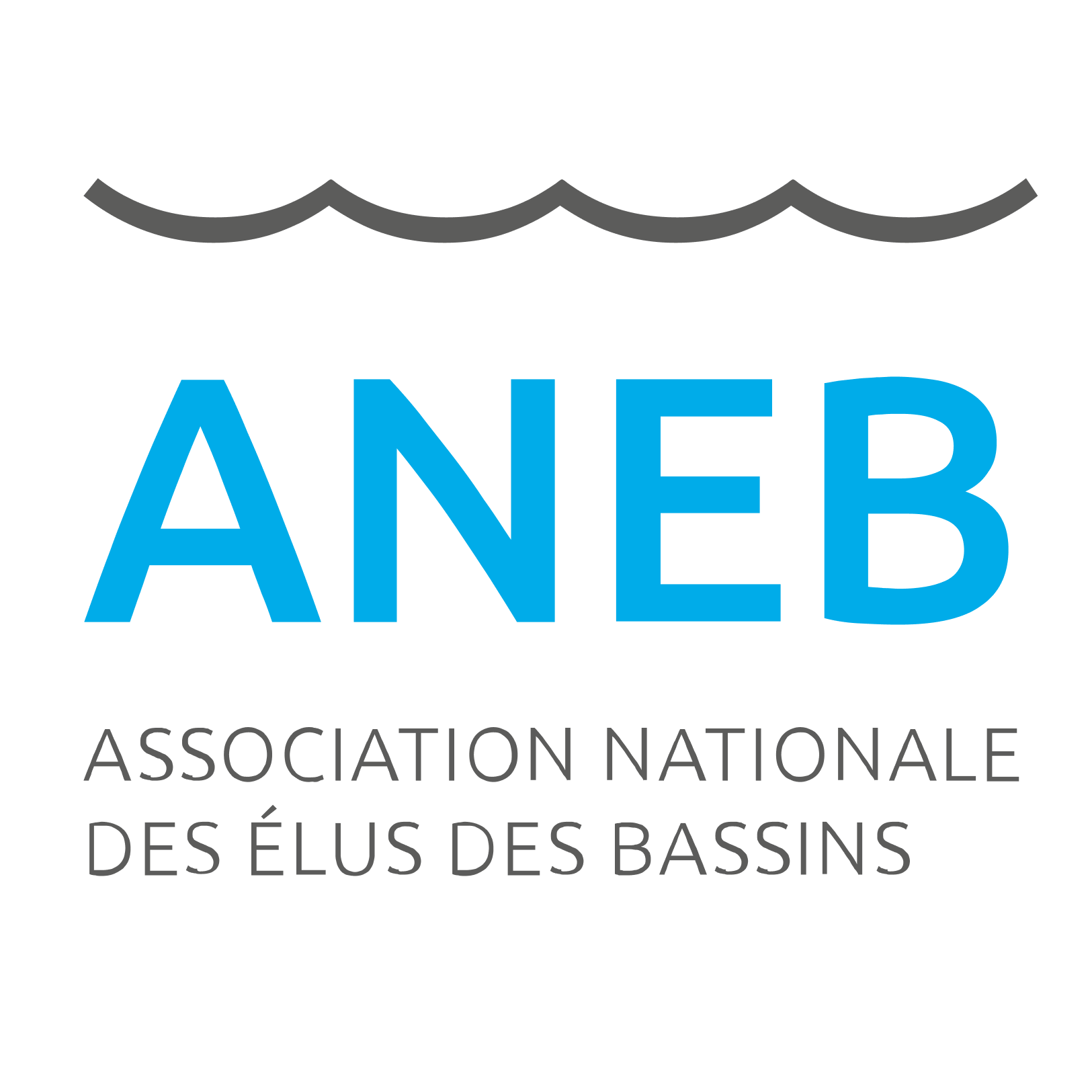 L’Association National des Elus des Bassins (ANEB) : une nouvelle équipe en place pour porter les propositions du Livre BLEU l’eau en COMMUN !