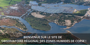 L’Observatoire Régional des Zones Humides de Corse est en ligne