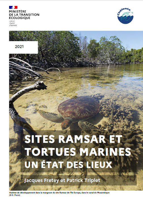 Les zones humides d’importance internationale et la protection des tortues marines : un rapport d’experts (2e édition)