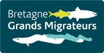 Un nouvel outil à destination des SAGE Bretons : le tableau de bord poissons migrateurs