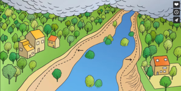 Des cours d’eau en pleine forme