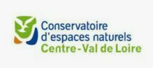 Retour sur les rencontres : "Restauration et préservation des vallées alluviales ligériennes par pâturage extensif" organisées par le CEN Centre-Val de Loire