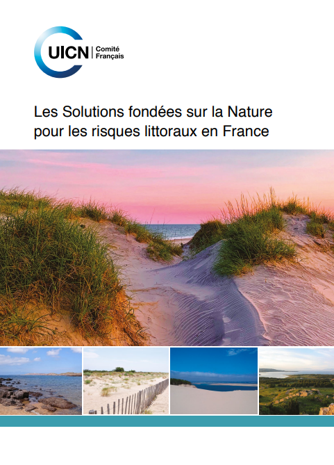 Les solutions fondées sur la nature pour les risques littoraux en France