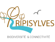 WEBINAIRE : Évaluer la biodiversité et la connectivité des ripisylves pour mieux les préserver