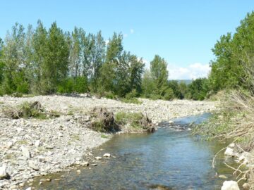 Restaurer et valoriser les vallées alluviales : une stratégie d’adaptation des territoires face aux conséquences des évènements extrêmes