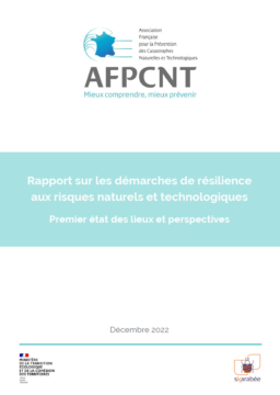 Rapport sur les démarches de résilience aux risques naturels et technologiques – Premier état des lieux et perspectives