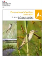 Plan National d’Actions en faveur du Phragmite aquatique Acrocephalus paludicola 2022-2031