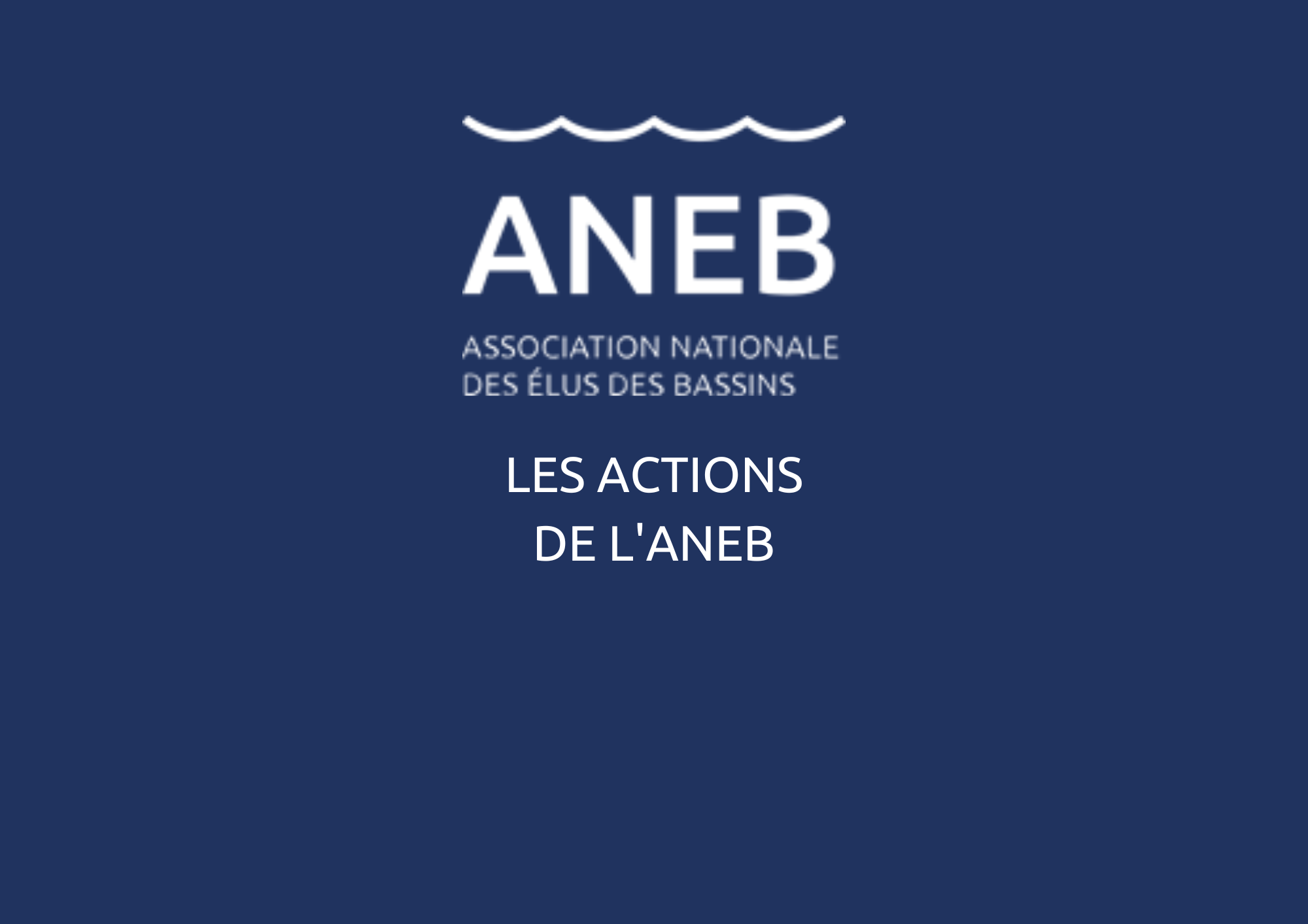 actions aneb