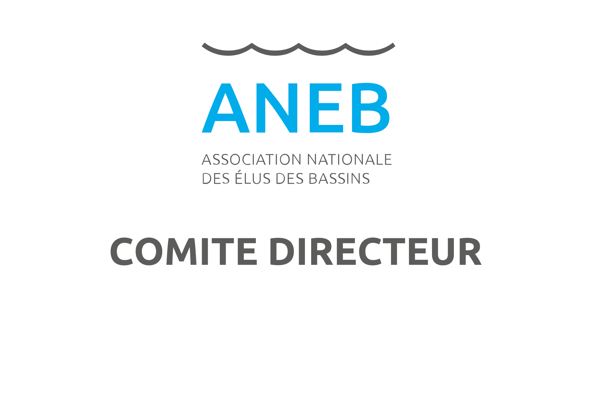 ANEB – CODIR – Comité directeur – 12 janvier 2023
