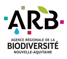 Vidéo – Les zones humides au service de l’épuration de l’eau – ARB Nouvelle-Aquitaine