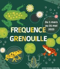 Fréquence Grenouille - Edition 2023