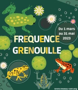 Fréquence Grenouille – Edition 2023