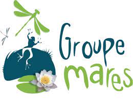 Découvrez la plateforme collaborative du « Groupe Mares »