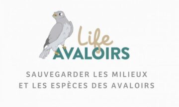 Save the date : Colloque de restitution du projet LIFE Avaloirs