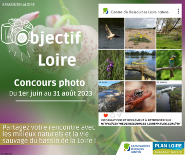 Objectif Loire – Concours Photo 2023