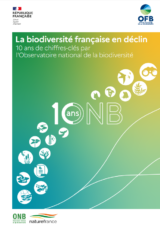 La biodiversité française en déclin : 10 ans de chiffres-clés de l'observatoire national de la biodiversité
