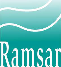 Rencontres du réseau régional Ramsar Hauts-de-France