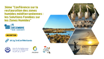 3e Conférence en ligne sur « La Restauration des Zones Humides Méditerranéennes : les Solutions Fondées sur les Zones Humides »