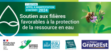 Appel à manifestation d’intérêt (2024) : Soutien aux filières favorables à la protection de la ressource en eau et des milieux humides