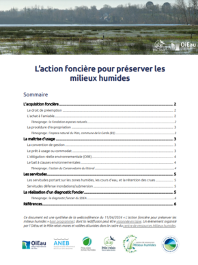 synthese_-_webconf_oieau_-_action_fonciere_pour_les_zones_humides