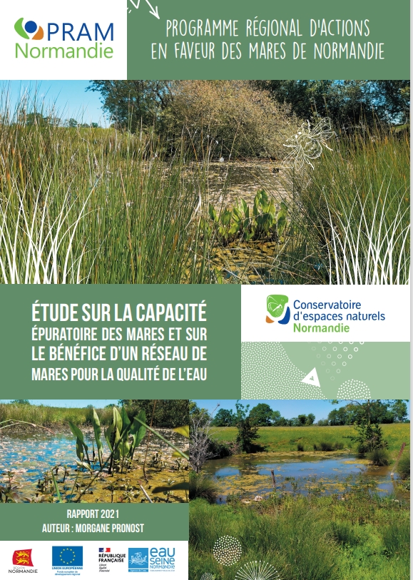 Etude sur la capacité épuratoire des mares et sur le bénéfice d’un réseau de mares pour la qualité de l’eau