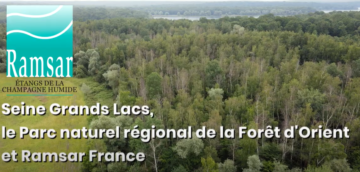 Vidéo : Les Etangs de la Champagne humide – Site Ramsar France – Seine Grands Lacs & PNR Forêt d’Orient