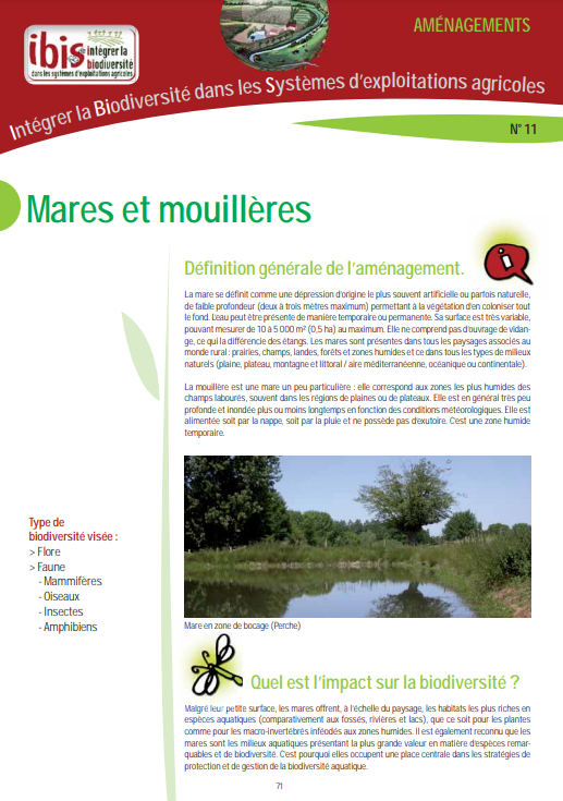 MARES ET MOUILLÈRES