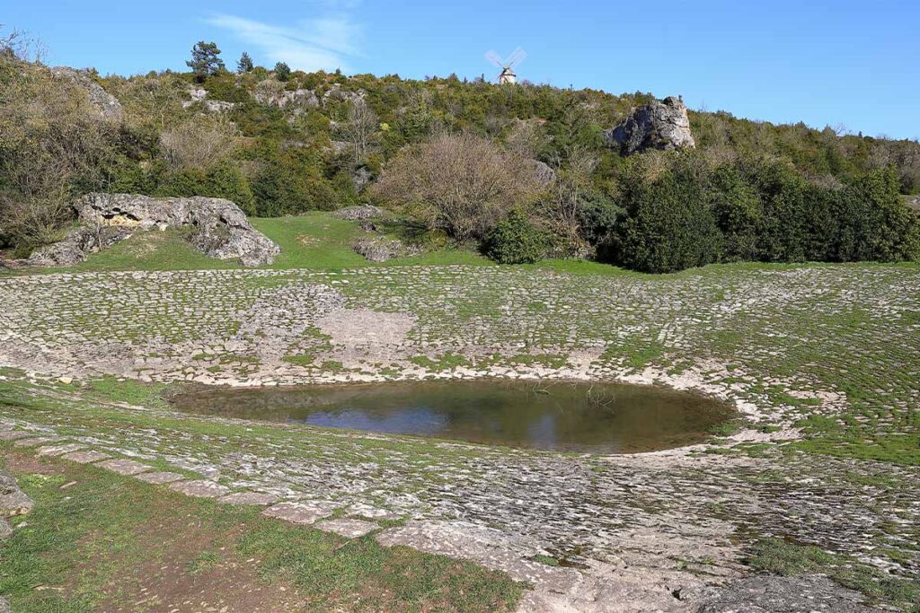 ofb mare causse 