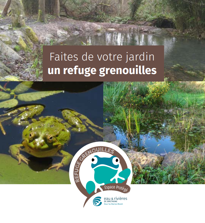 FAITES DE VOTRE JARDIN UN REFUGE GRENOUILLES