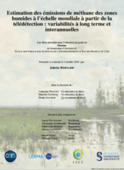 Estimating methane wetland emissions at the global scale based on remote sensing : long term and inter-annual variabilities