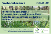 Webconférence « Inondations, sécheresses – Comment la restauration des milieux humides peut contribuer à réduire les risques »