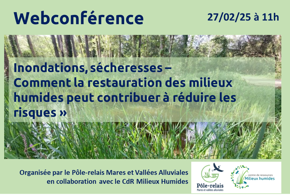 Webconférence « Inondations, sécheresses – Comment la restauration des milieux humides peut contribuer à réduire les risques »