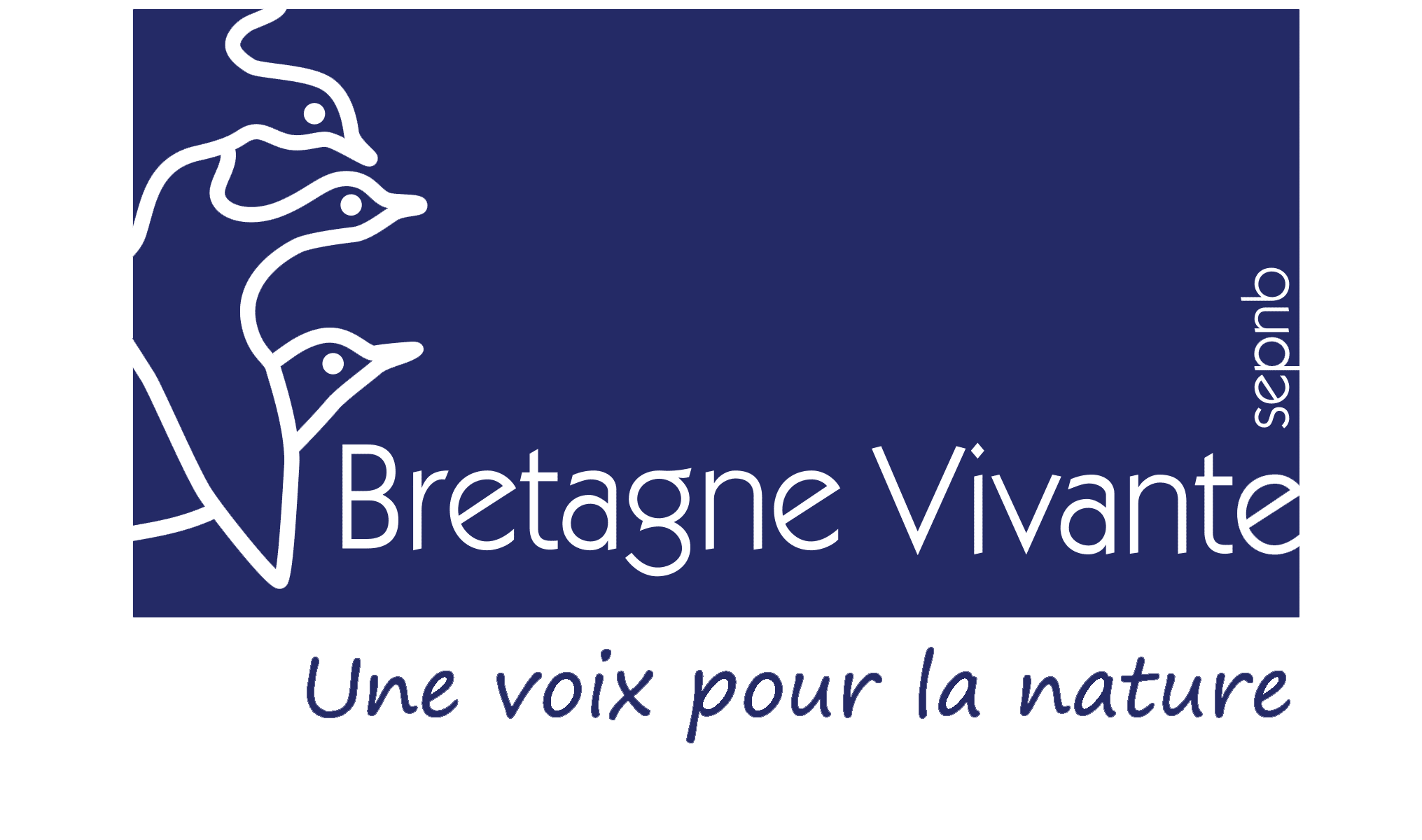 logo bv3 1