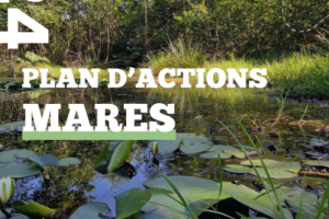 plan d actions mares 2024