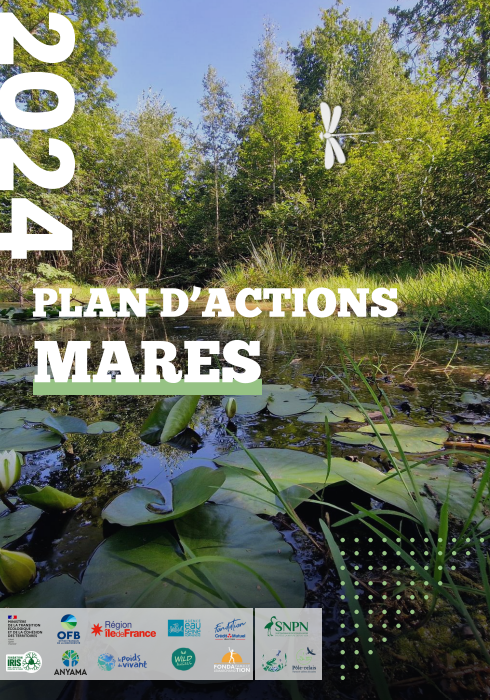 plan d actions mares 2024