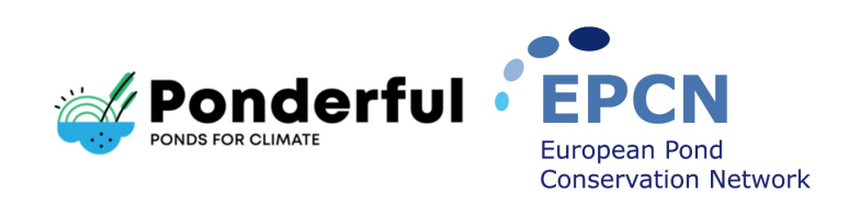 ponderful logo