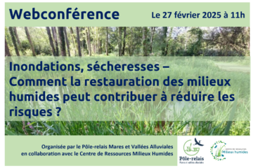 Webconférence « Inondations, sécheresses – Comment la restauration des milieux humides peut contribuer à réduire les risques ? »