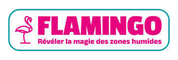 Appel à projet Flamingo