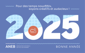 Meilleurs Vœux 2025