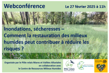 Webconférence « Inondations, sécheresses – Comment la restauration des milieux humides peut contribuer à réduire les risques ? »