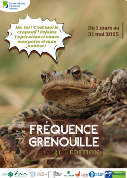 Fréquence Grenouille (2025)