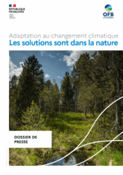 Life ARTISAN - Solutions fondées sur la Nature, une réponse concrète au changement climatique - Zoom sur les Zones Humides
